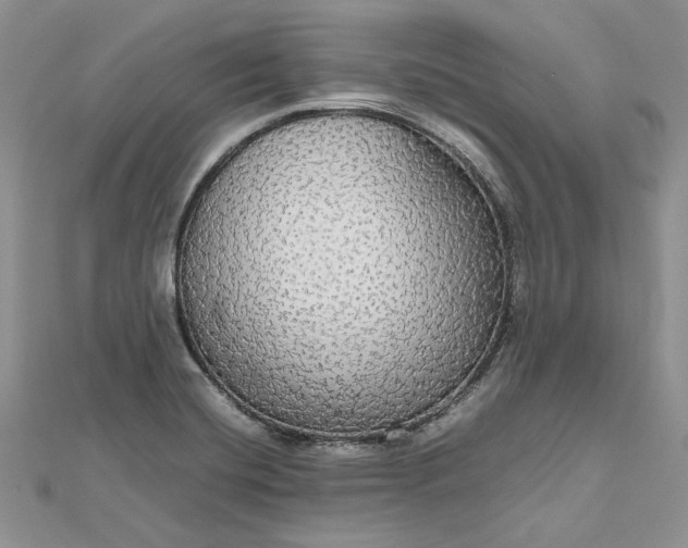 X0000112471420200908311340