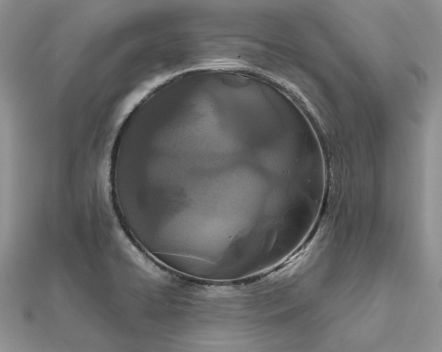 X0000112471422200908311340