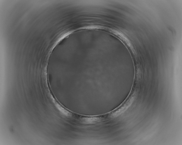 X0000112471425200908311340