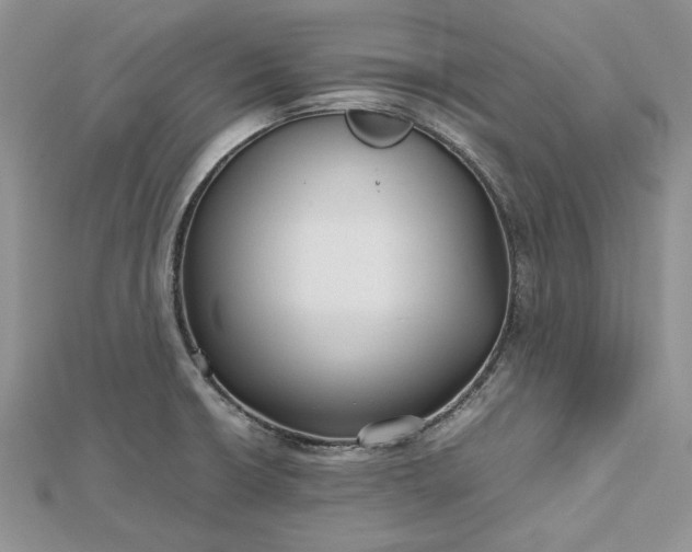 X0000112471426200908311340