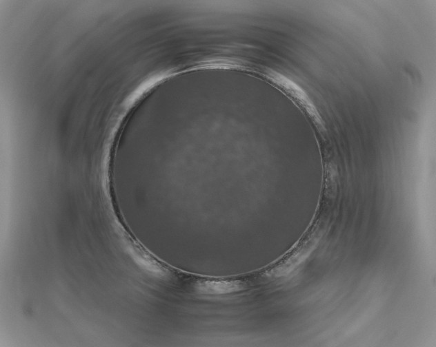 X0000112471427200908311340