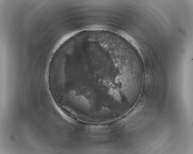 X0000112471429200908311340