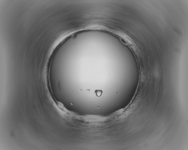 X0000112471430200908311340