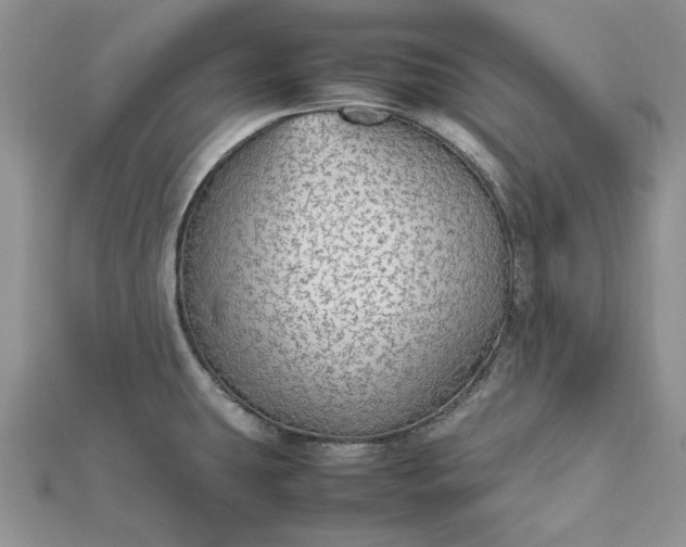 X0000112471431200908311340