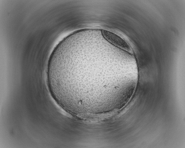 X0000112471432200908311340