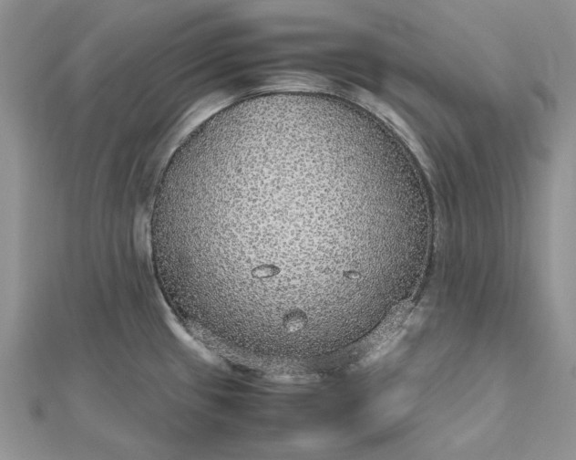 X0000112471433200908311340