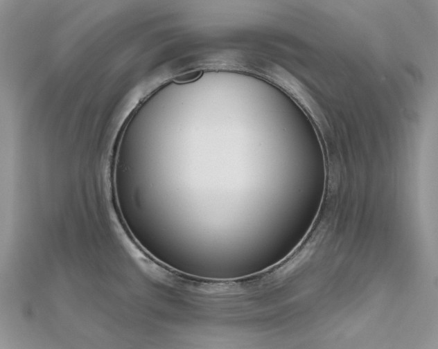 X0000112471434200908311340