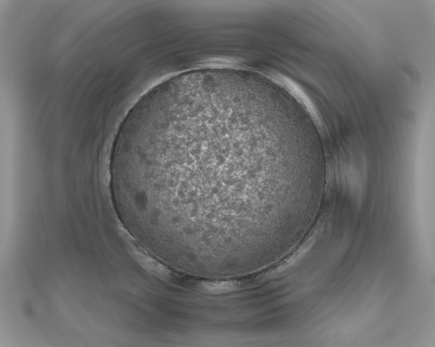 X0000112471435200908311340