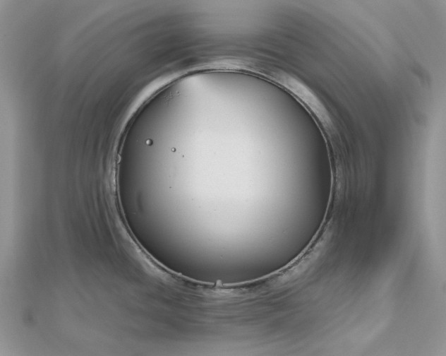 X0000112471436200908311340