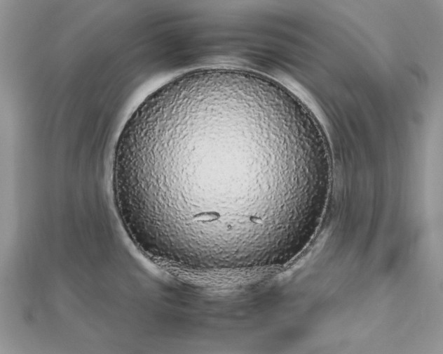 X0000112471437200908311340