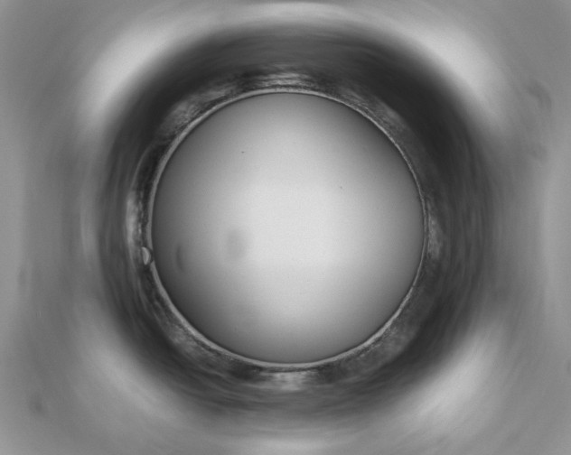 X0000112471438200908311340