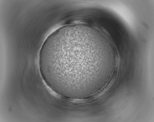 X0000112471439200908311340