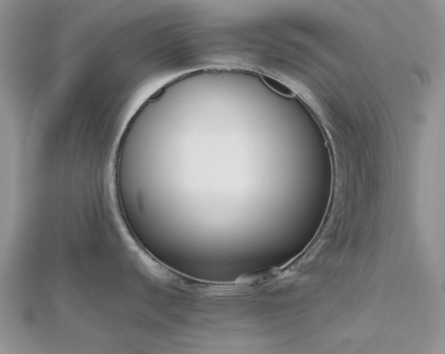 X0000112471440200908311340