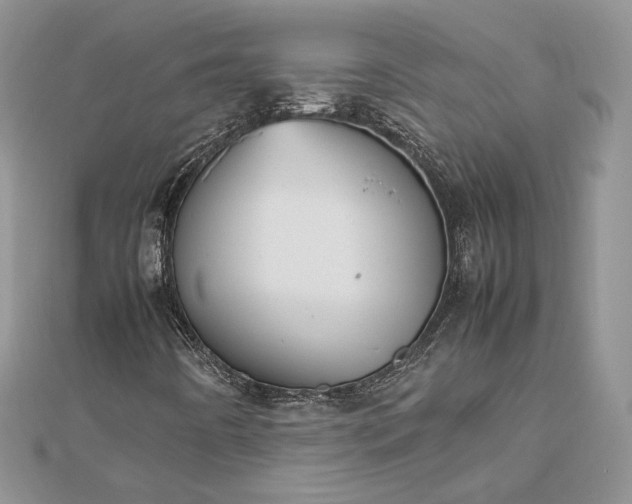 X0000112471442200908311340