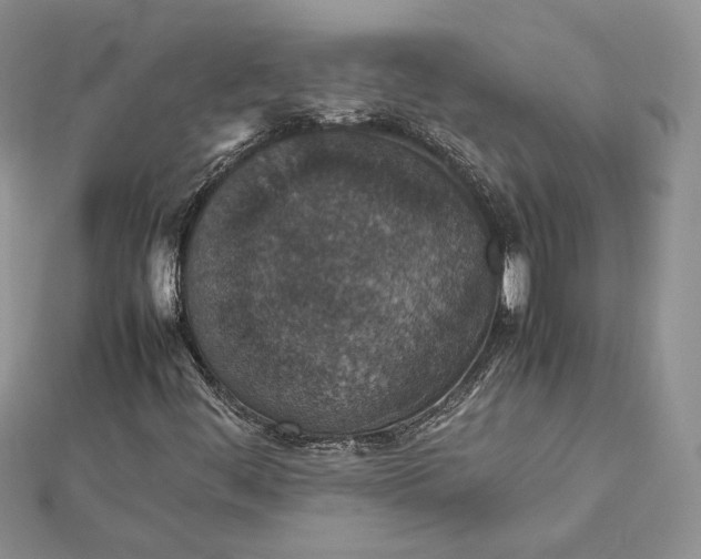 X0000112471444200908311340