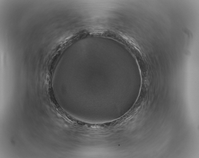 X0000112471445200908311340