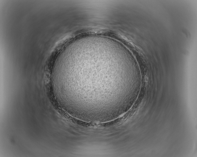 X0000112471447200908311340