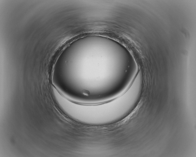 X0000112471449200908311340