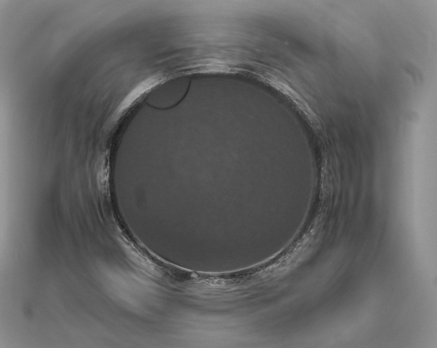 X0000112471450200908311340