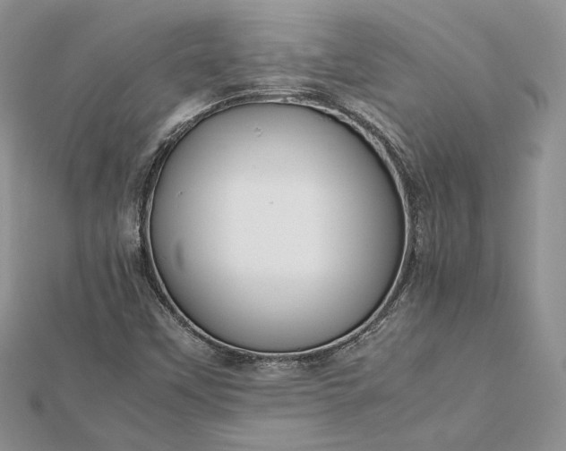 X0000112471451200908311340