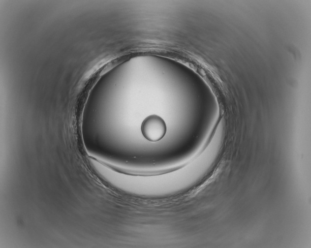 X0000112471453200908311340