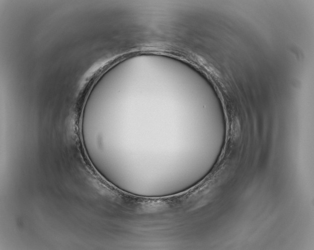 X0000112471454200908311340