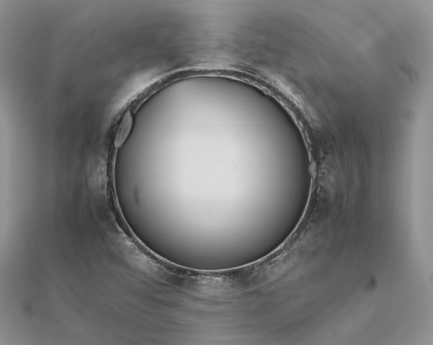 X0000112471456200908311340