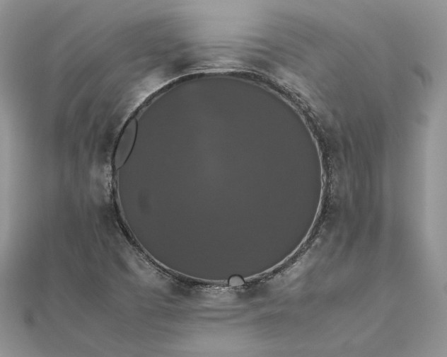 X0000112471457200908311340