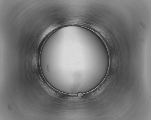 X0000112471458200908311340