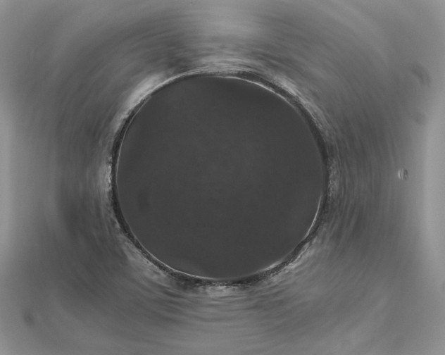 X0000112471459200908311340