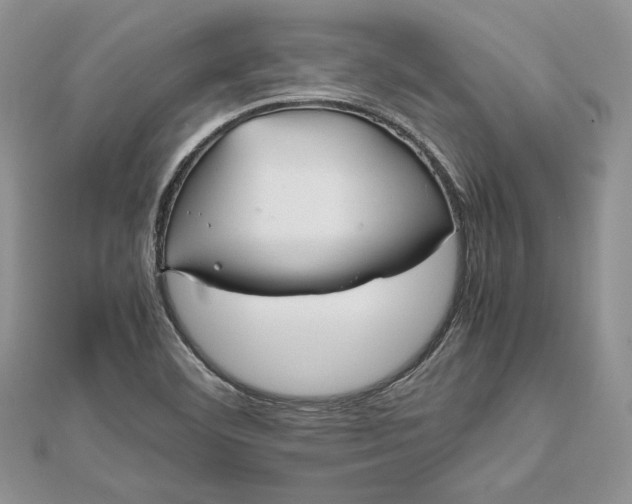 X0000112471460200908311340