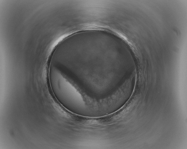 X0000112471463200908311339