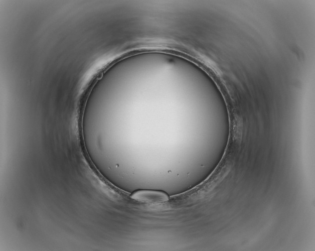 X0000112471464200908311339