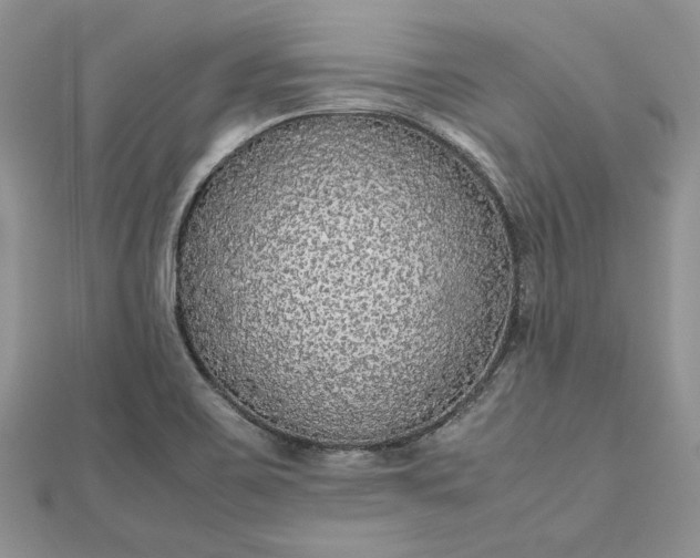 X0000112471467200908311339