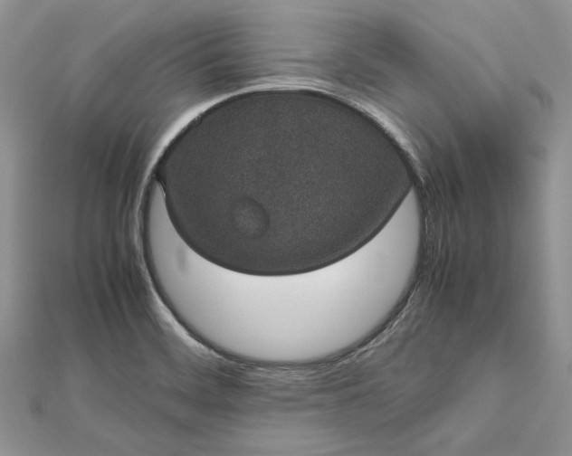 X0000112471468200908311339