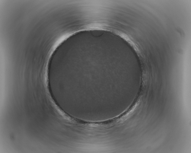 X0000112471469200908311339