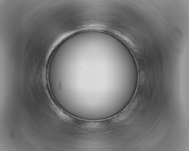 X0000112471470200908311339