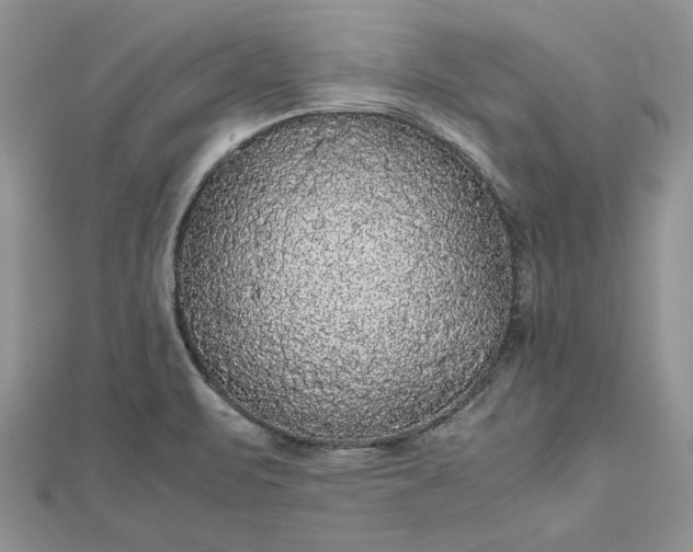 X0000112471471200908311339