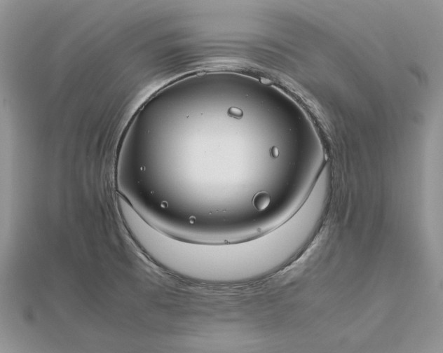 X0000112471473200908311339