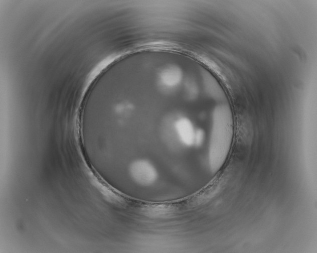 X0000112471474200908311339