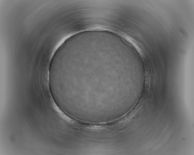 X0000112471476200908311339