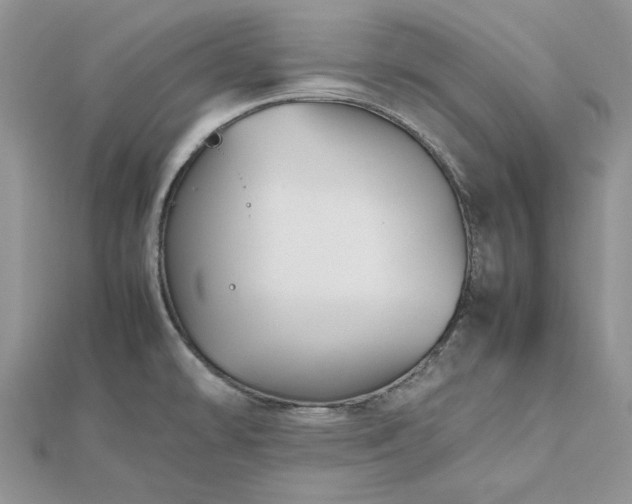 X0000112471478200908311339