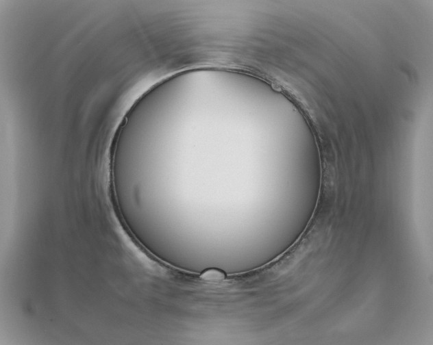 X0000112471479200908311339