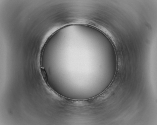 X0000112471480200908311339