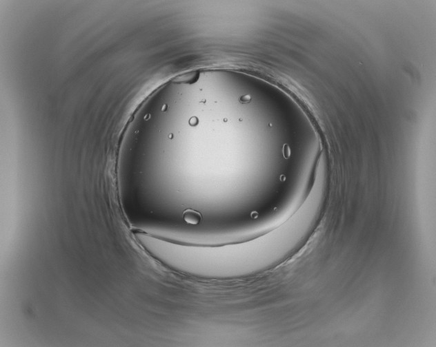 X0000112471481200908311339