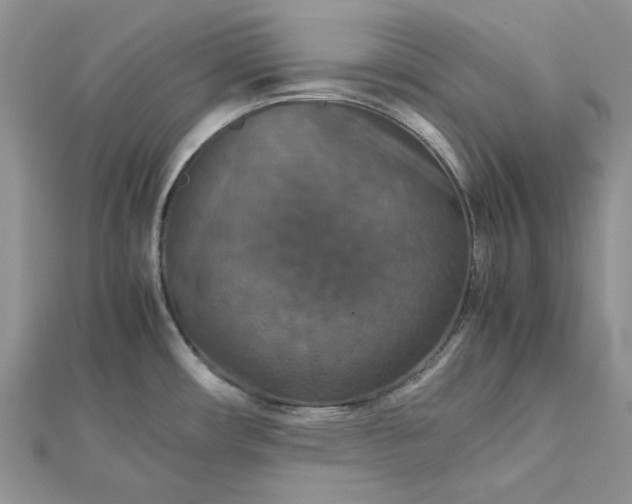 X0000112471482200908311339