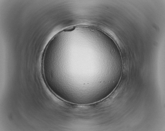 X0000112471483200908311339