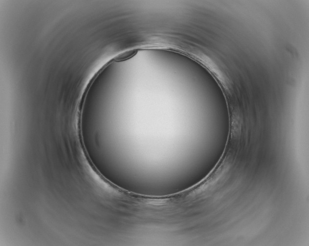 X0000112471484200908311339