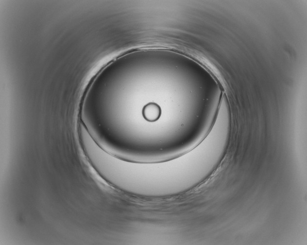 X0000112471485200908311339