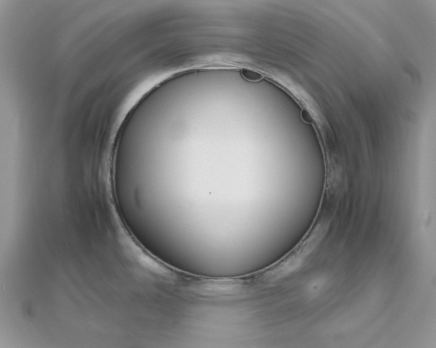 X0000112471486200908311339